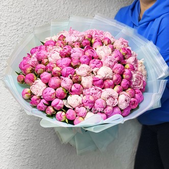 101 розовый пион