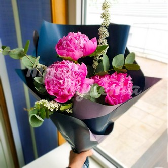 3 розовых пиона Сара Бернар