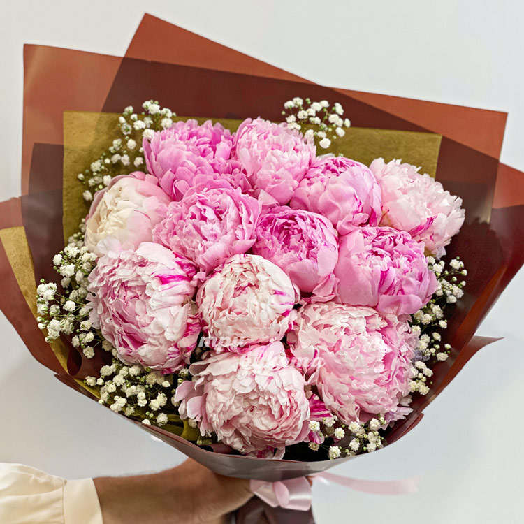 Светло-розовые пионы 11 шт. (крупный план)