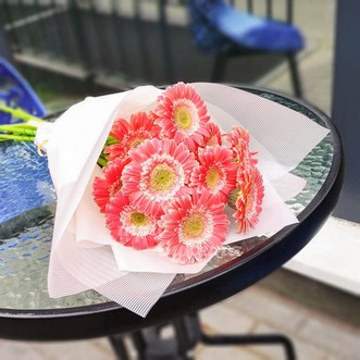 13 розовых гербер