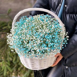 Белые и голубые гипсофилы в корзине