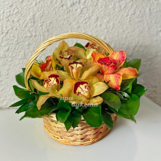 Корзина желтых орхидей с рускусом